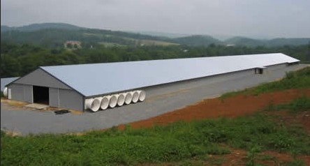 Prefabricated Chicken House Pig Shed Poultry