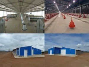 Prefabricated Chicken House Poultry
