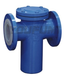 Ptfe Lined Blue Type Strainer