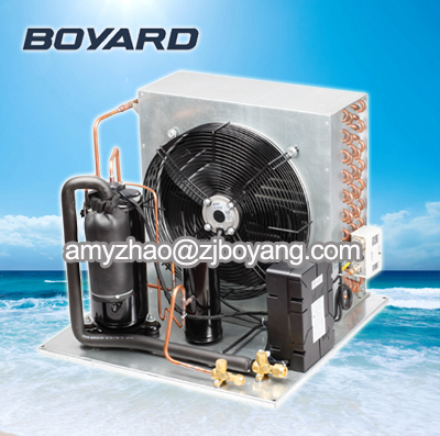 R22 Vertical Rotaty Compressor For Condensing Unit Freezer Spare Parts