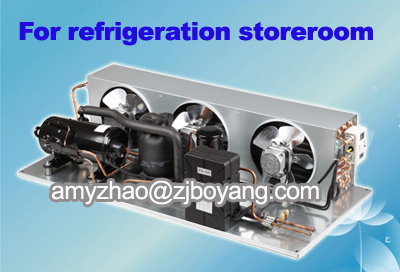 R404a Condensing Unit For Deep Freezer