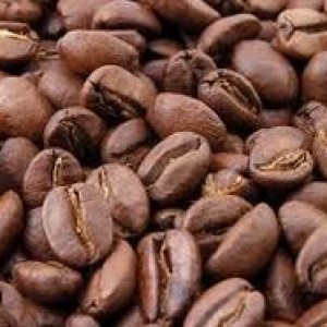 Robusta Coffee Luwak