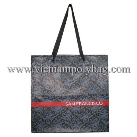 Rope Handle Carrier Plastic Shopping Bag