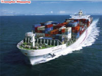 Sea Freight Qualified Affordable Safe