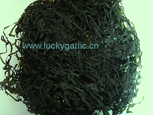 Seaweed Machine Dried Cut Kelp Sun 65292 Sea Cabbage