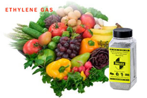 Smelleze Eco Ethylene Smell Removal Granules 2 Lb