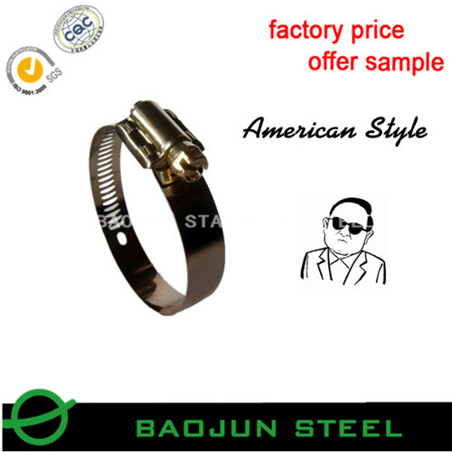 Ss304 American Type Stainless Steel Hose Clamp