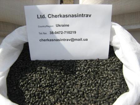 Sunflower Seeds Black Raw High Quality