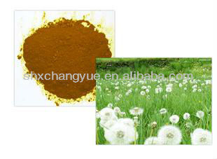 Taraxacum Official Extract Powder