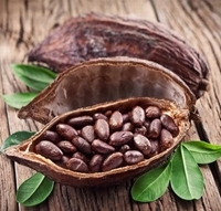 Theobroma Cacao Extact Natural Plant Extract