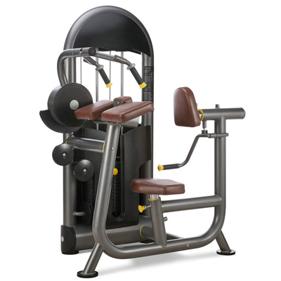 Triceps Extension Fitness Equipment Gym