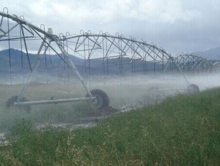 Turn Key Project Movable Center Pivot Irrigation System Plant In China