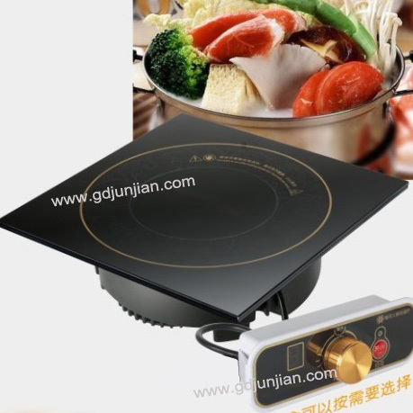 Universal Induction Cooker