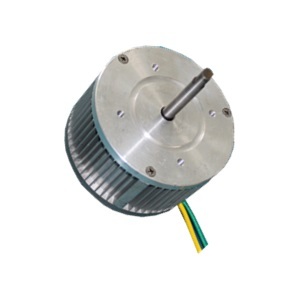 W120100 Brushless Motors For Power Tools Automation And Blowers