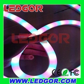 Waterproof Led Neon Flex 220v 110v 24v 12v
