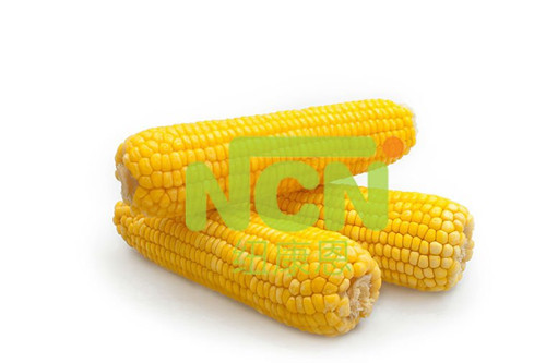 Yellow Iqf Fresh Corn Cob
