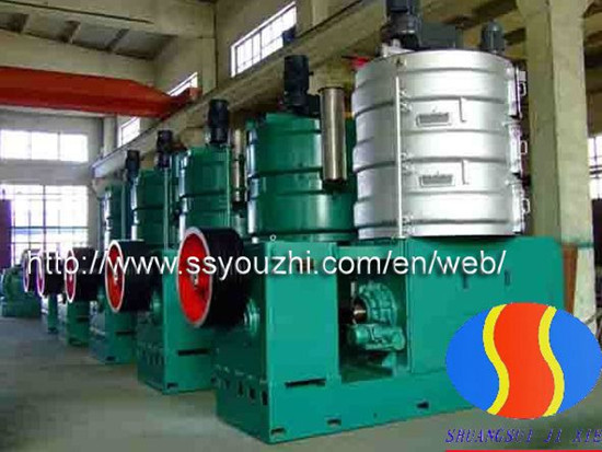 Yzy 340 Rapeseed Oil Press Machine